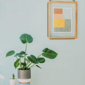 Ampoule LED RGB E27 WiFi Contrôle Appli Alexa Google Home