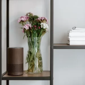 Prise Connectee WiFi – Programmation Alexa Google Consommation